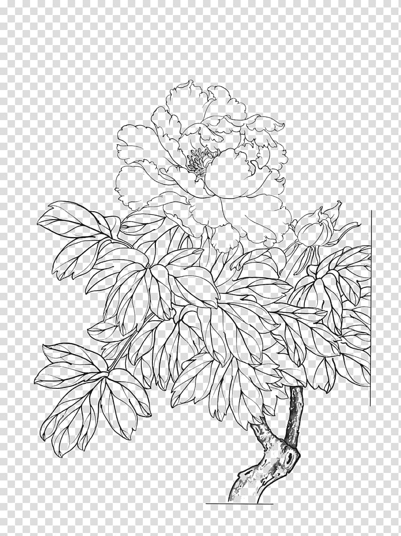 black flower sketch, Moutan peony Gongbi Flower Painting, peony transparent background PNG clipart