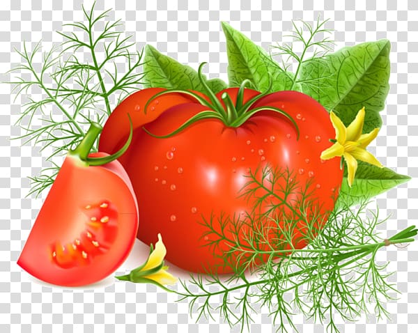 Tomato soup Tomato juice Minestrone, tomato transparent background PNG clipart