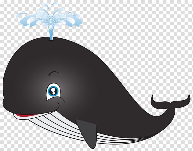 Sperm whale Cartoon , Holiday Dolphin transparent background PNG clipart