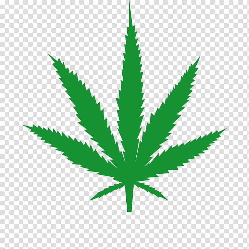 Medical cannabis Leaf 420 Day, cannabis transparent background PNG ...