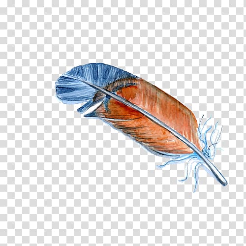 Bird Feather Illustration, Hand-painted feather color transparent background PNG clipart