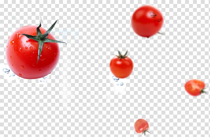 Cherry tomato Water Filter Vegetable Food Auglis, tomato transparent background PNG clipart