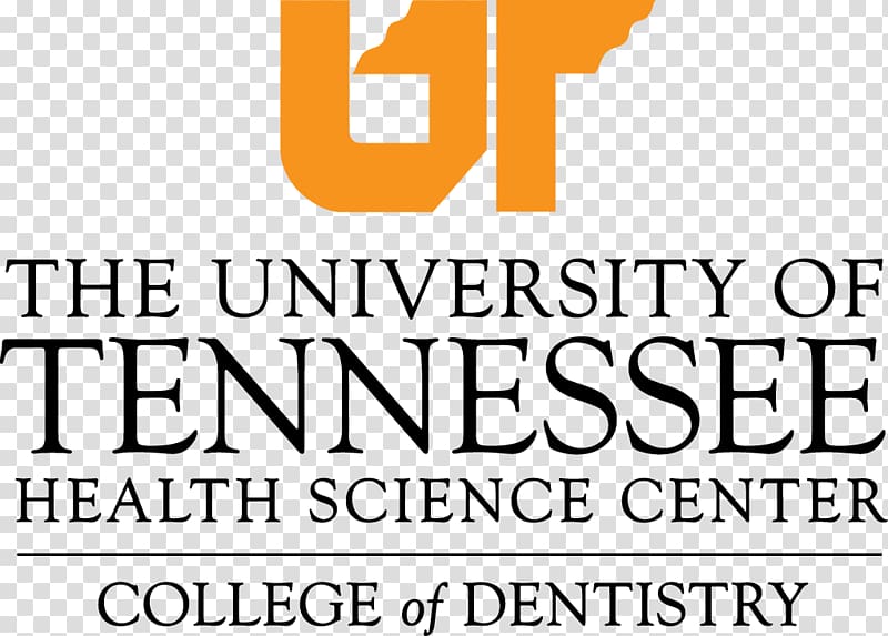 University of Tennessee at Chattanooga University of Tennessee at Martin University of Memphis Haslam College of Business, student transparent background PNG clipart