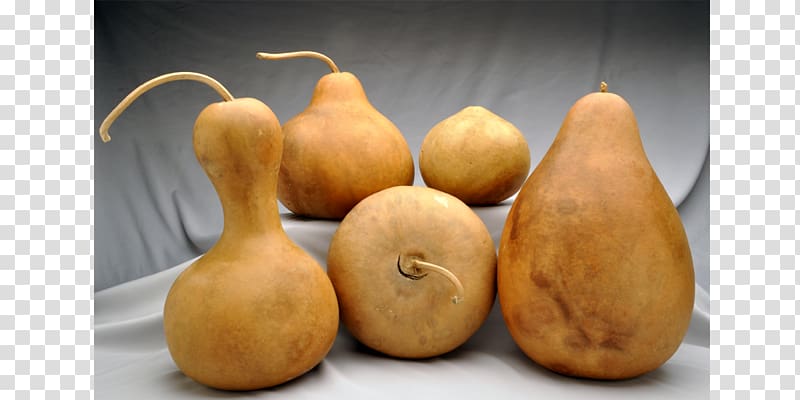 Gourd Boxed.com Winter squash Calabaza Cucurbita, others transparent background PNG clipart