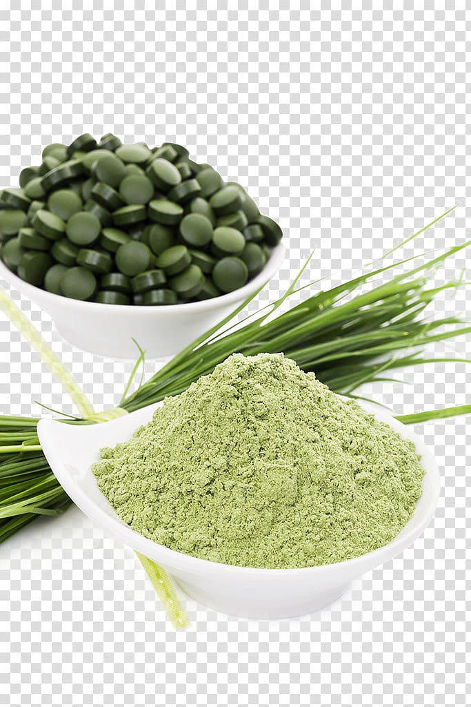 Spirulina Algae Dieting Food Health, Spirulina free transparent background PNG clipart