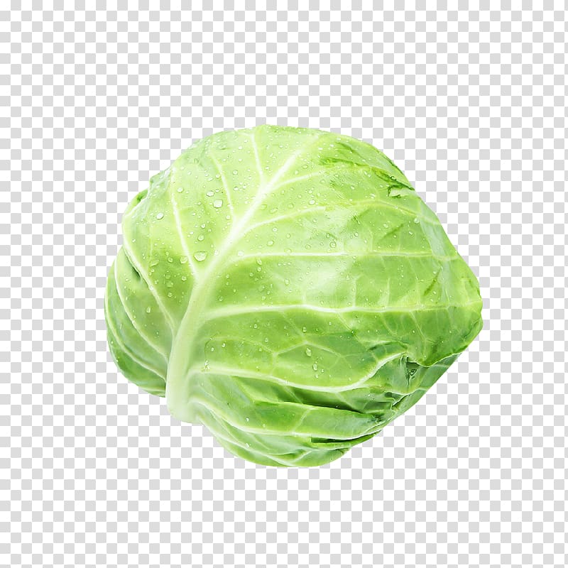 Savoy cabbage Romaine lettuce Red cabbage Spring greens, A cabbage transparent background PNG clipart
