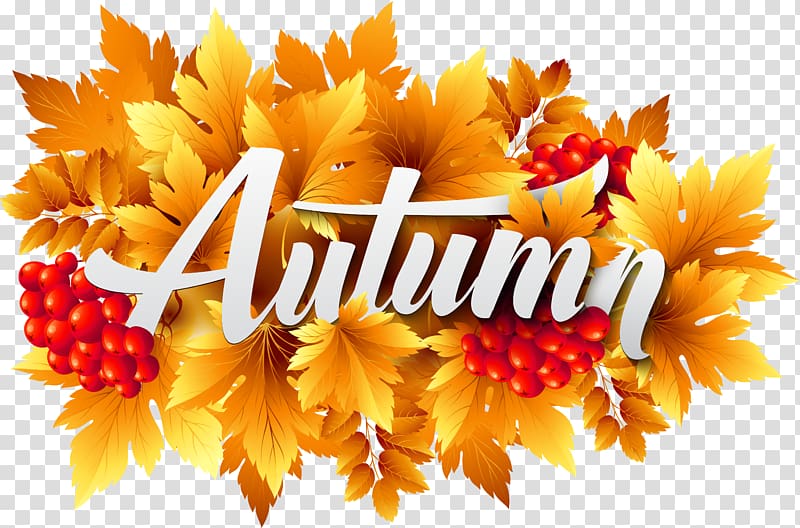 Autumn text illustration, Autumn , Autumn Decorative transparent background PNG clipart