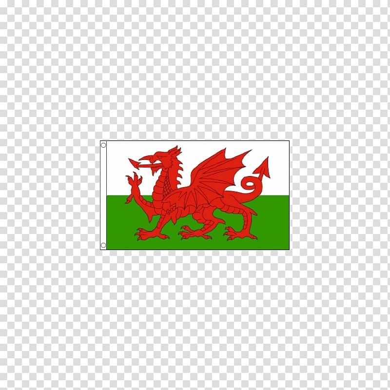 St Davids Cardiff Saint David's Day Welsh, welsh Dragon transparent background PNG clipart