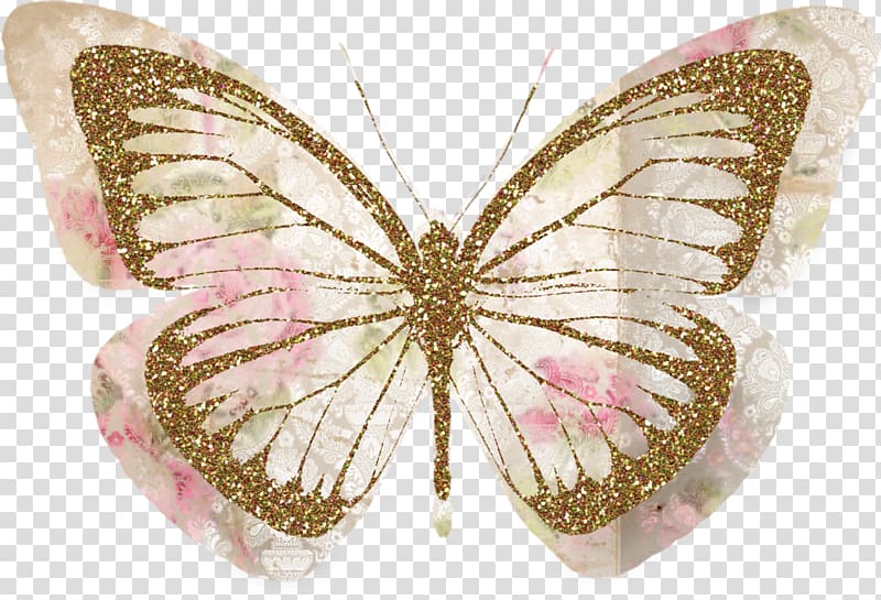 Butterfly Desktop Papillon dog , butterfly transparent background PNG clipart