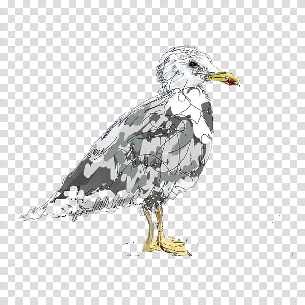 Vulture Cygnini Goose Anatidae Bird, cyprinus carpio transparent background PNG clipart