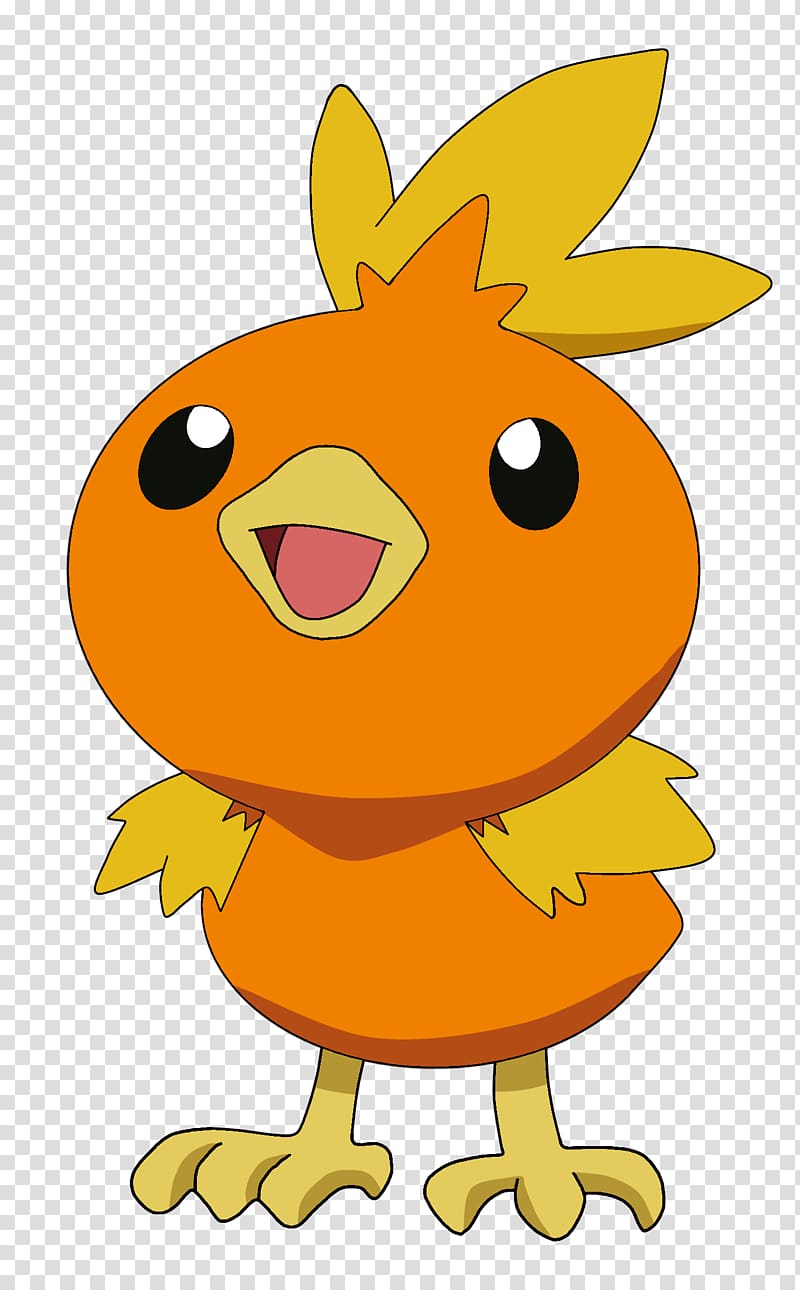 Pokémon X and Y Torchic Pokkén Tournament May, others transparent background PNG clipart