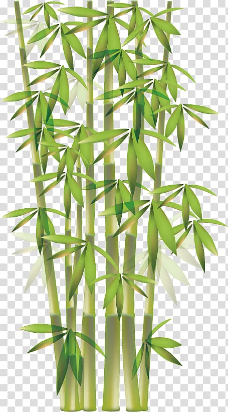Bamboo Euclidean , Bamboo material transparent background PNG clipart