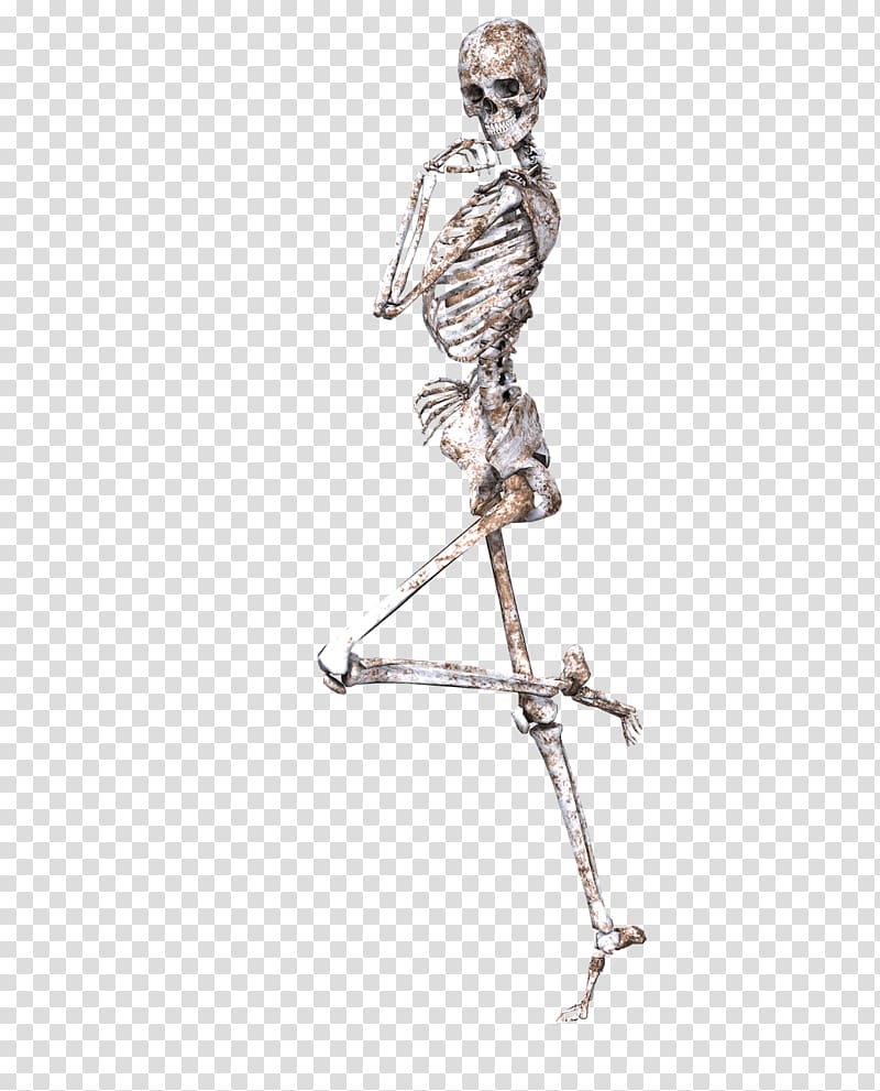 human skeleton illustration, Skeleton on One Leg transparent background PNG clipart