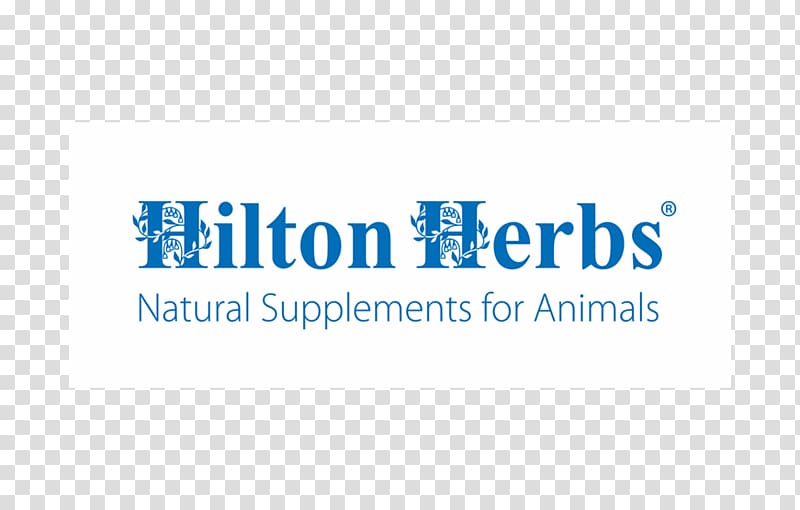 Horse Dietary supplement HILTON HERBS LTD Health, horse transparent background PNG clipart
