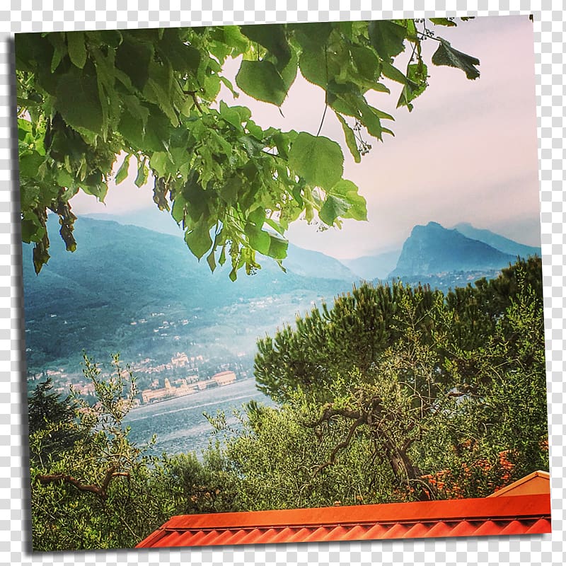 Nature reserve Water resources National park Vegetation, Lake Garda transparent background PNG clipart
