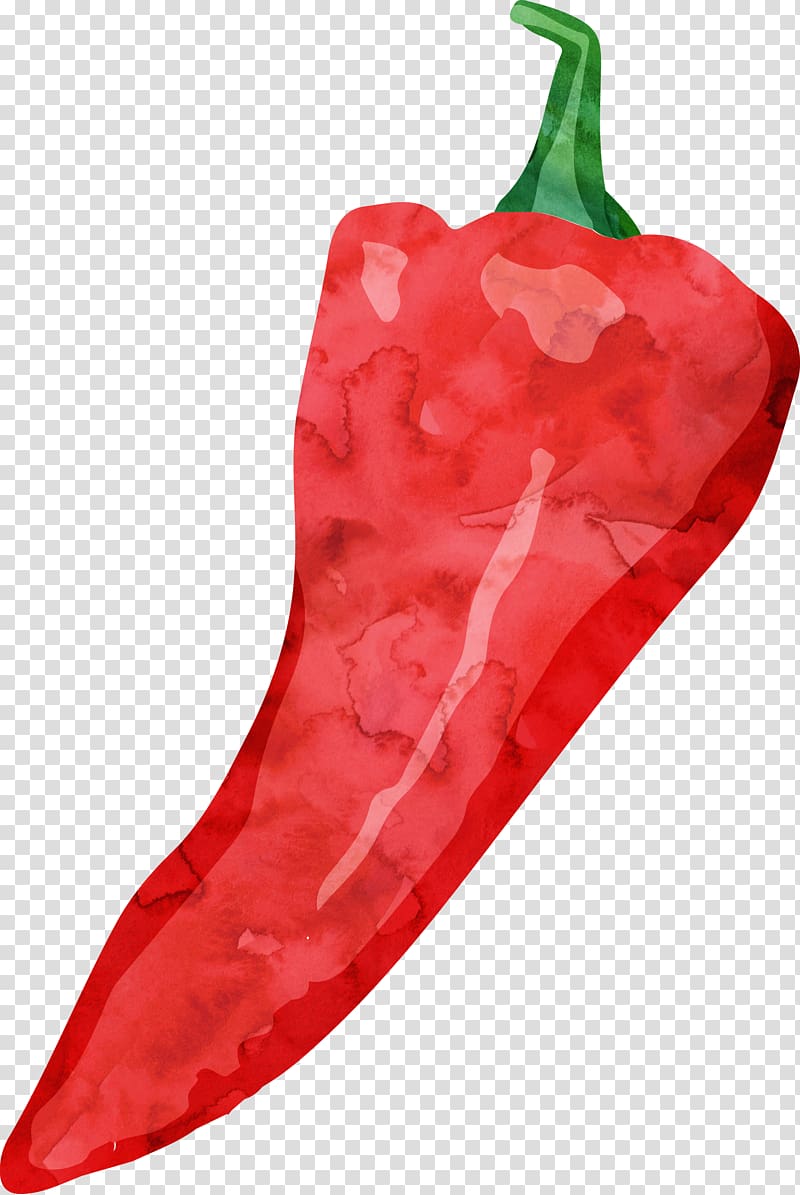Tabasco pepper Cayenne pepper Drawing Watercolor painting, Drawing pepper transparent background PNG clipart