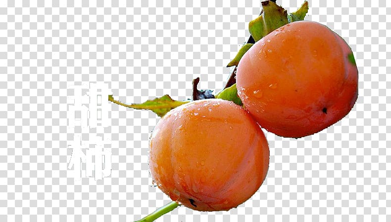 Persimmon Clementine Fruit, Persimmon transparent background PNG clipart