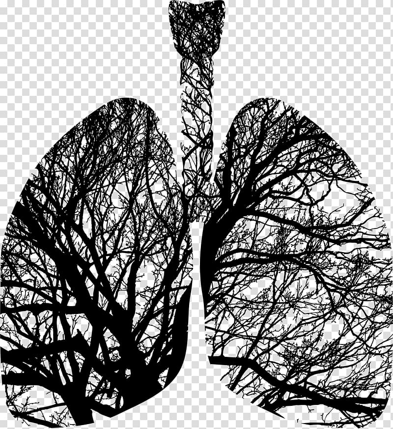 Tree Silhouette Lung Breathing, lungs transparent background PNG clipart