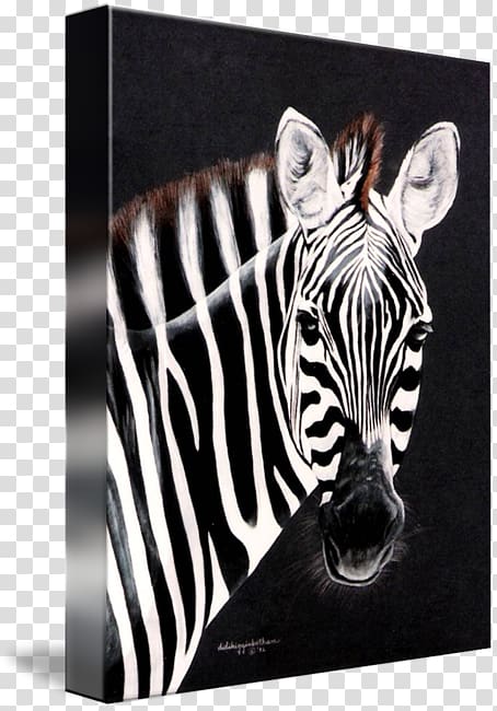 Quagga Watercolor painting Art Printmaking, zebra Watercolor transparent background PNG clipart