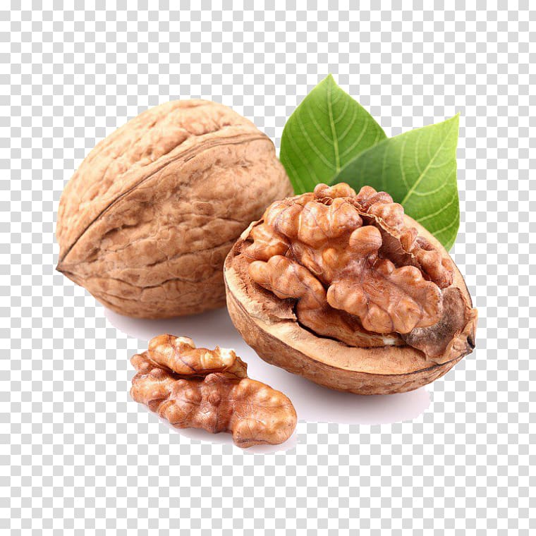 English walnut Nuts Oolong, walnut transparent background PNG clipart
