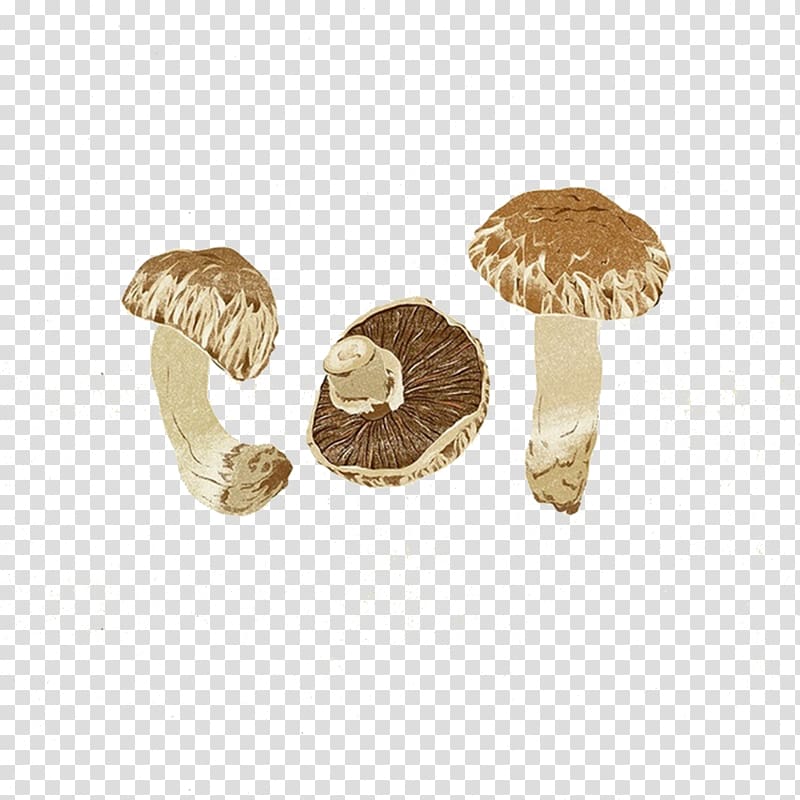 Shiitake Vegetable Painting Food Mushroom, Hand-painted realistic vegetables transparent background PNG clipart
