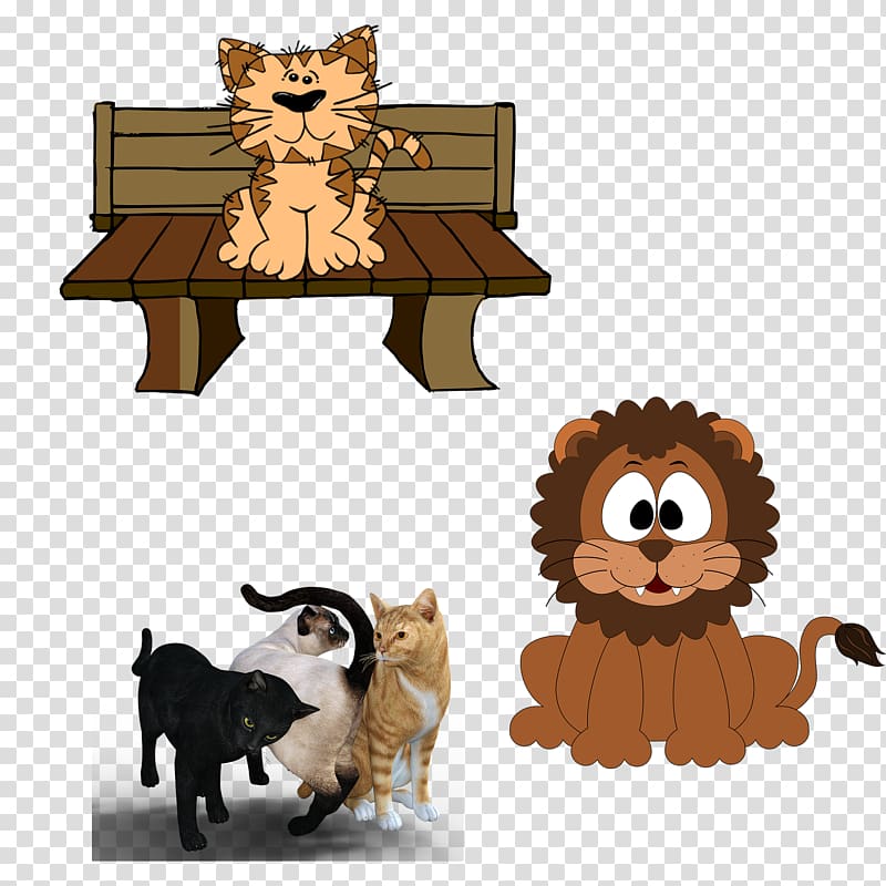 Persian cat Kitten Pet sitting , Three colors of the different states of the cat transparent background PNG clipart