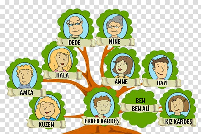 رسم شجرة العائلة للاطفال انجليزي