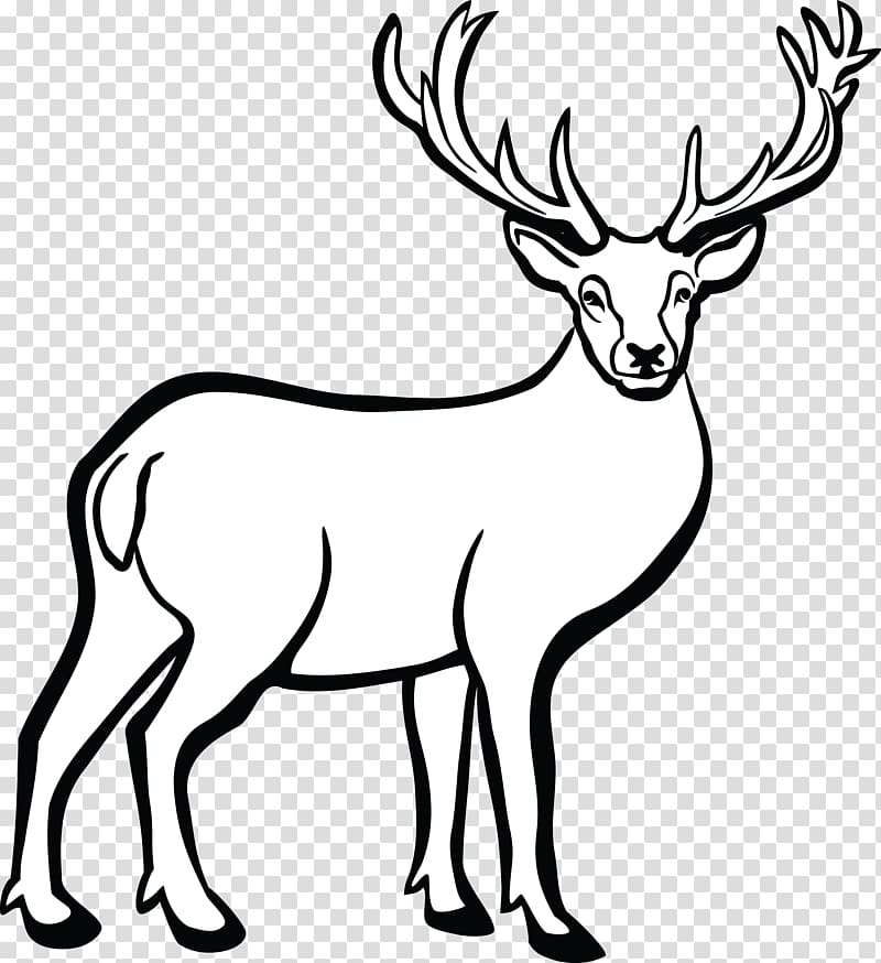White-tailed deer Line art , deer transparent background PNG clipart