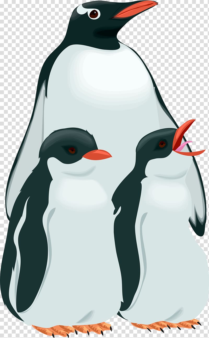 Penguin Bird , penguins transparent background PNG clipart