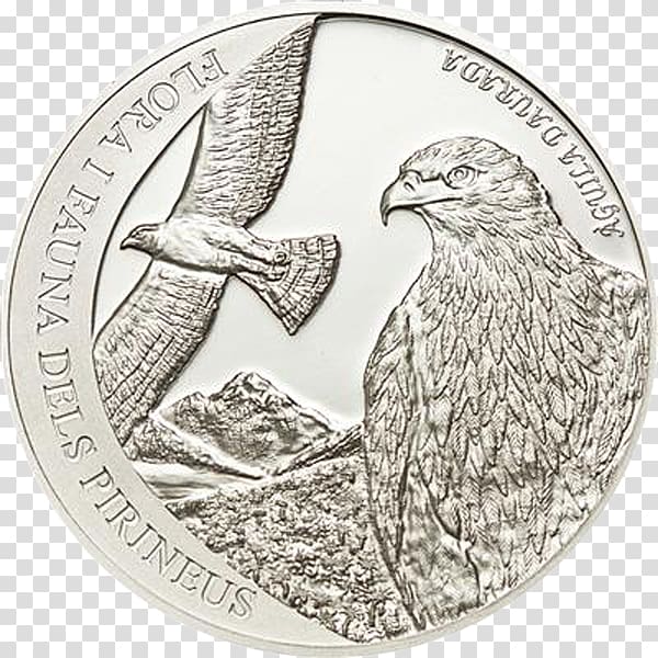 Proof coinage Numismatics American Silver Eagle Uncirculated coin, Coin transparent background PNG clipart
