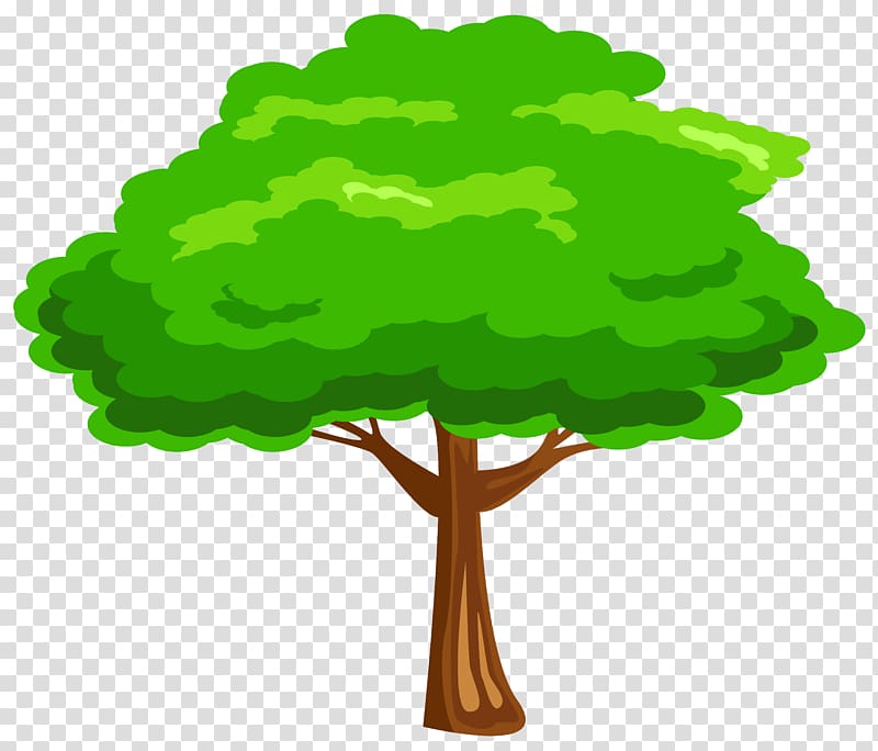 Tree , Green Tree , green flowering tree transparent background PNG clipart