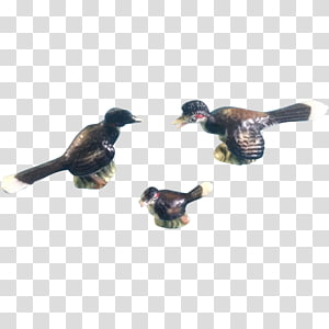 Duck Feather Beak, duck transparent background PNG clipart thumbnail