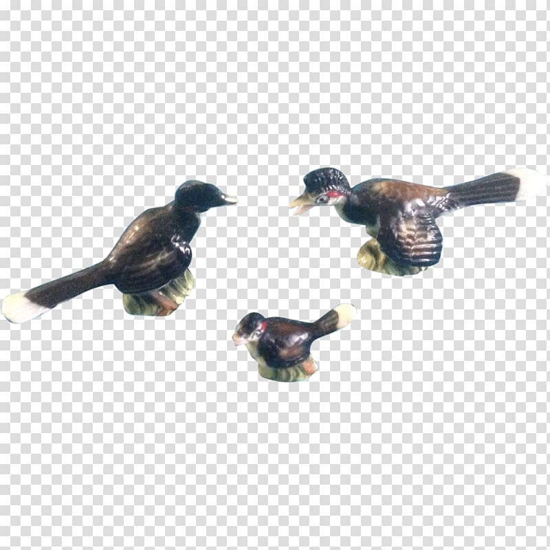 Duck Feather Beak, duck transparent background PNG clipart Duck Feather Beak, duck transparent background PNG clipart