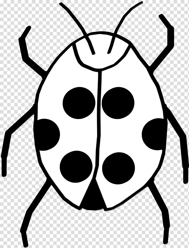 Black and white Insect Ladybird , White Flower transparent background PNG clipart