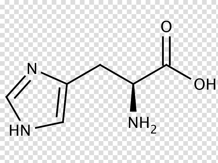 Tryptophan Essential amino acid Amine, Propionic Acid transparent background PNG clipart