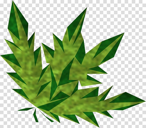 RuneScape Cannabis Herb Potion Wiki, weed transparent background PNG clipart