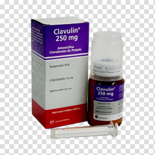 Amoxicillin/clavulanic acid Pharmaceutical drug Suspension, medicamentos transparent background PNG clipart