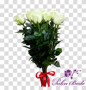 Garden roses Cabbage rose Floral design Cut flowers, flower transparent background PNG clipart thumbnail