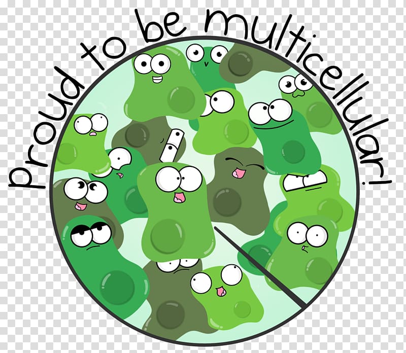 Cartoon Amoeba Multicellular organism Drawing, organism transparent background PNG clipart