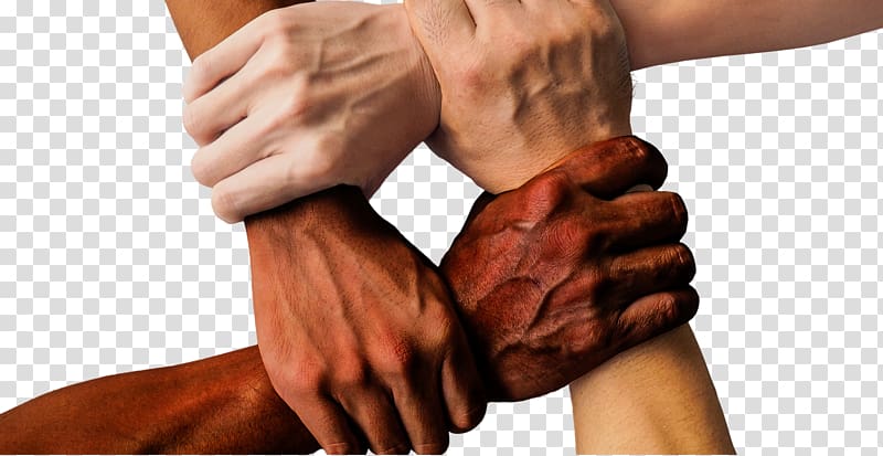 Cultural diversity Multiculturalism Organization Inclusion, the cultural construction transparent background PNG clipart