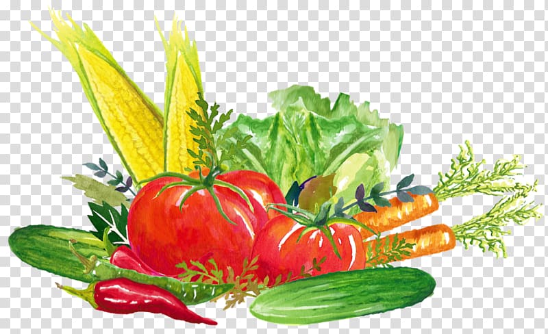 Tomato Organic food Vegetarian cuisine Leaf vegetable, tomato transparent background PNG clipart