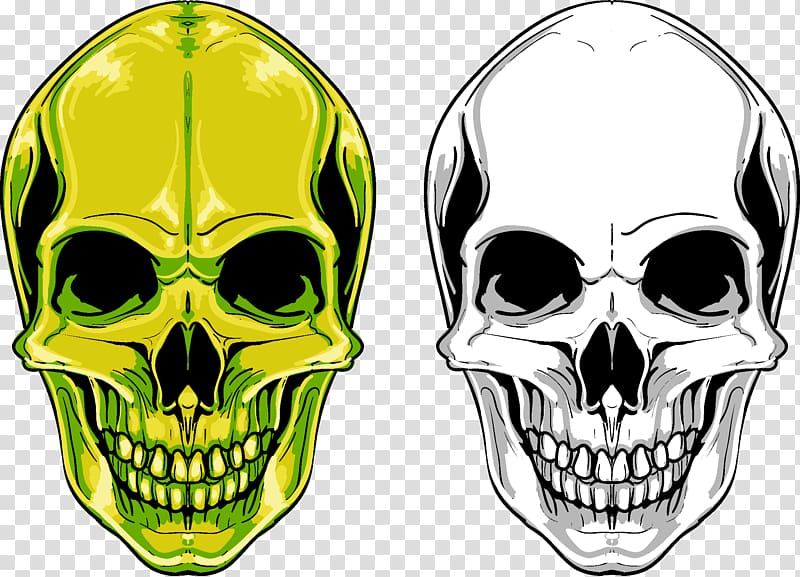 green and white skulls , Skull Euclidean , Skull transparent background PNG clipart