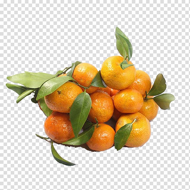 Clementine Mandarin orange u6c99u7cd6u6a58 Sugar Auglis, Sand candy transparent background PNG clipart