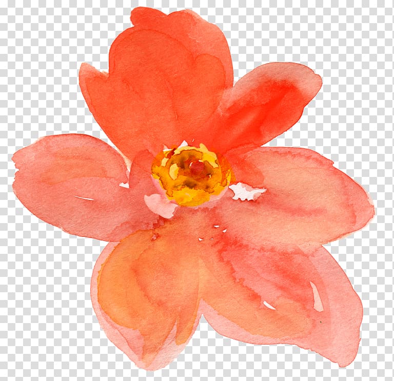 Watercolor painting Peach Flower Drawing , peach transparent background PNG clipart