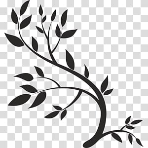 Drawing Leaf, Leaf transparent background PNG clipart thumbnail