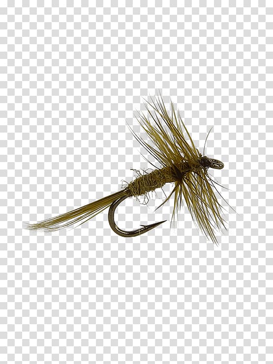 Artificial fly Fly fishing Orvis Stimulator Fishing Fly Lure, fly fishing  flies transparent background PNG clipart