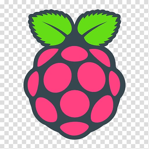 Raspberry Pi Foundation Computer Cases & Housings Raspbian, raspberry transparent background PNG clipart