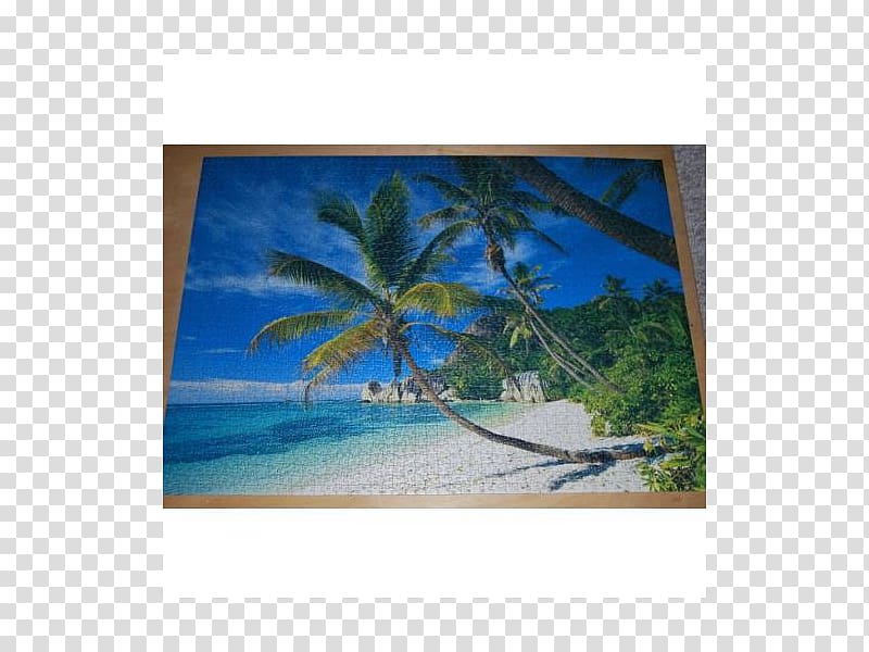 Jigsaw Puzzles Seychelles Painting Acrylic paint Frames, Puzzle Box transparent background PNG clipart