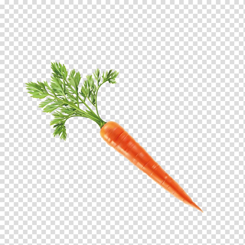 Vegetable Carrot Computer file, Carrot transparent background PNG clipart