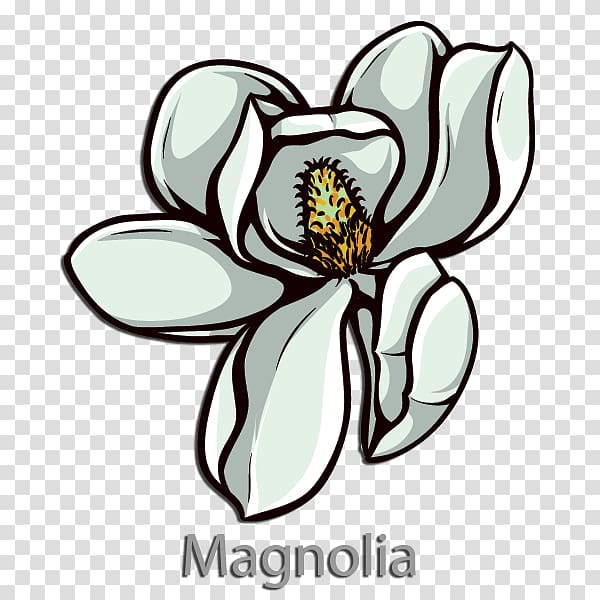 Lexington, Virginia Washington College Kappa Alpha Order Flower Alpha Tau Omega, magnolia transparent background PNG clipart